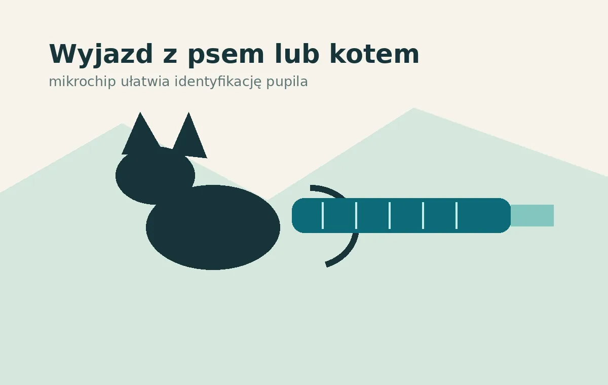Mikroczip dla psa lub kota przed wyjazdem nad jezioro